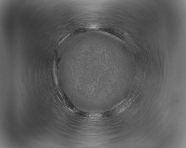 X0000053100576200507251634