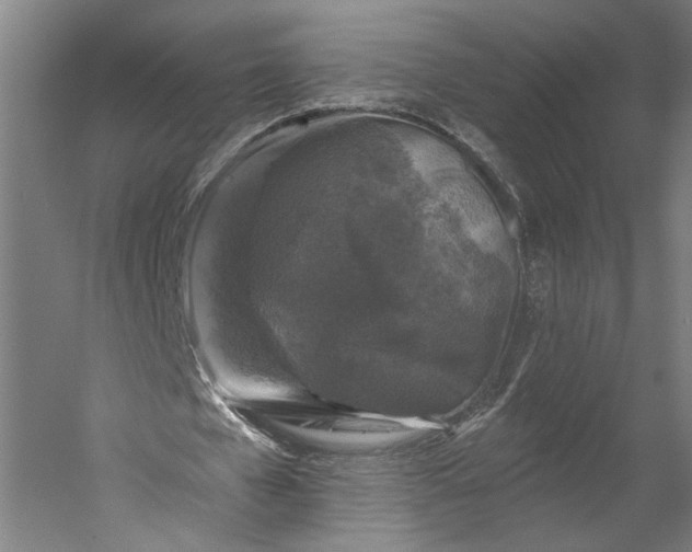 X0000053100577200507251633