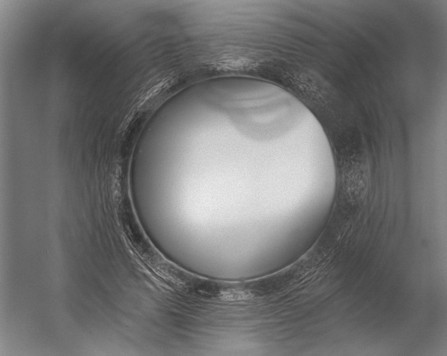 X0000053100591200507251633