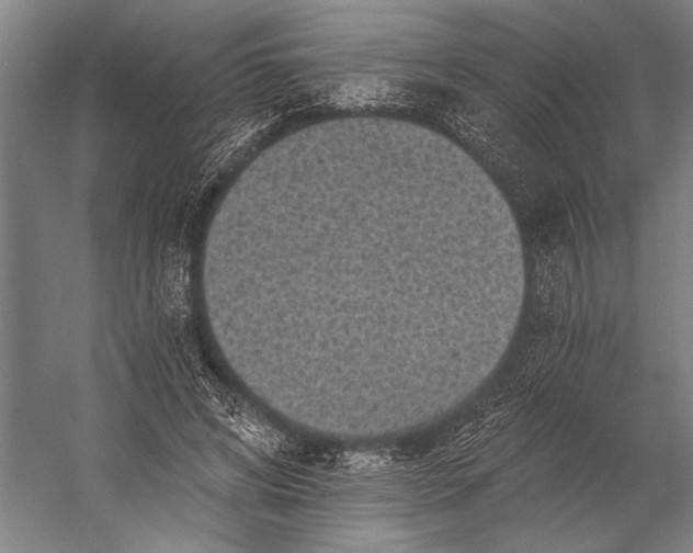 X0000053100592200507251633