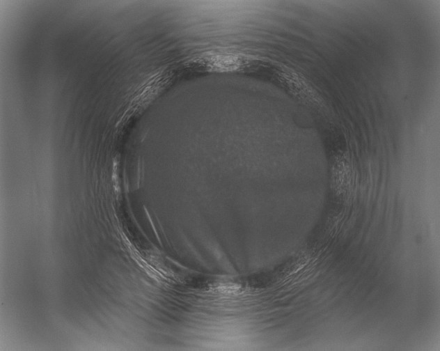 X0000053100598200507251633