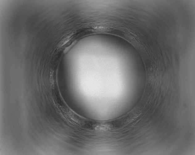 X0000053100599200507251633