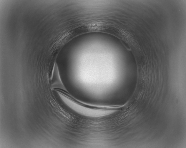 X0000053100601200507251633