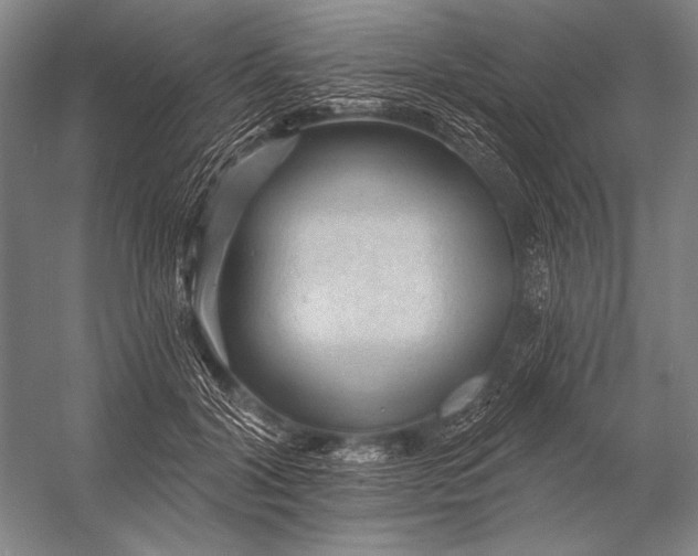 X0000053100604200507251633