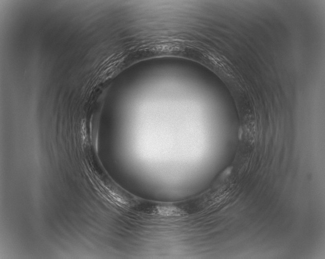X0000053100605200507251633