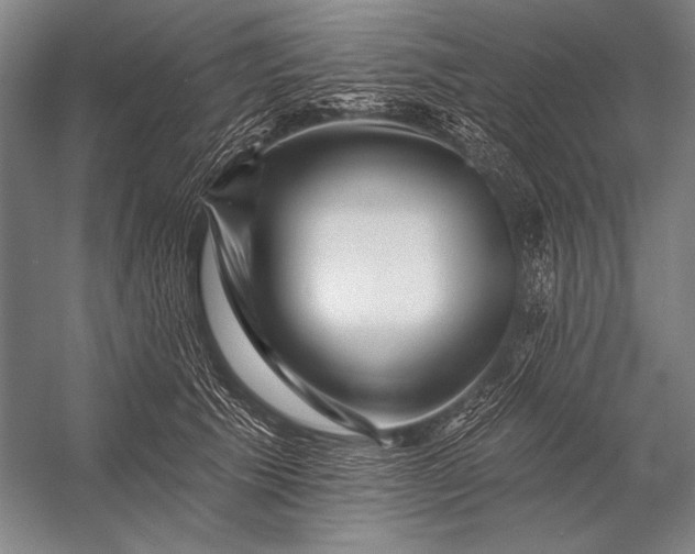 X0000053100609200507251632