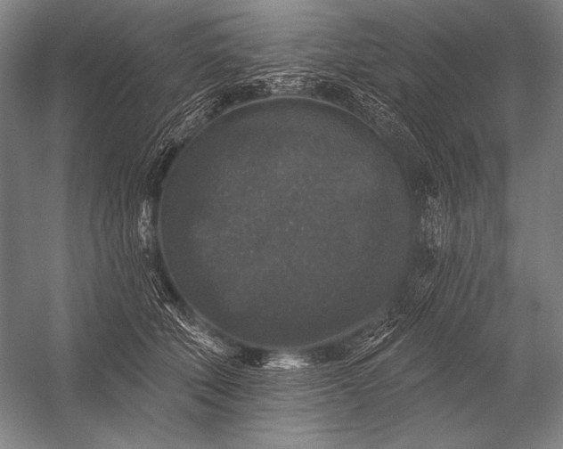 X0000053100610200507251632