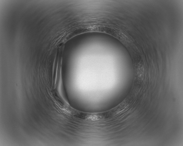 X0000053100611200507251632