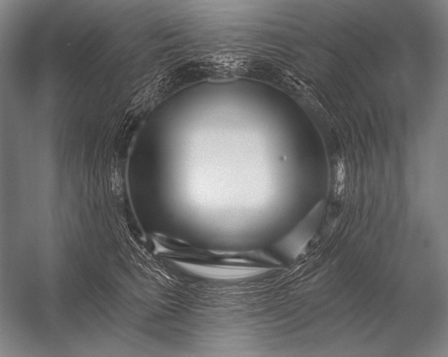 X0000053100613200507251632