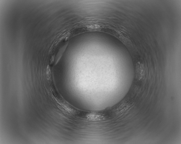 X0000053100614200507251632