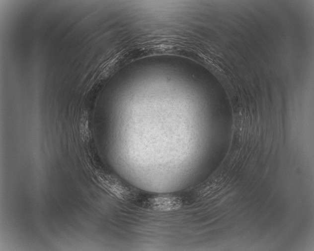 X0000053100615200507251632