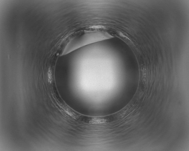 X0000053100617200507251632