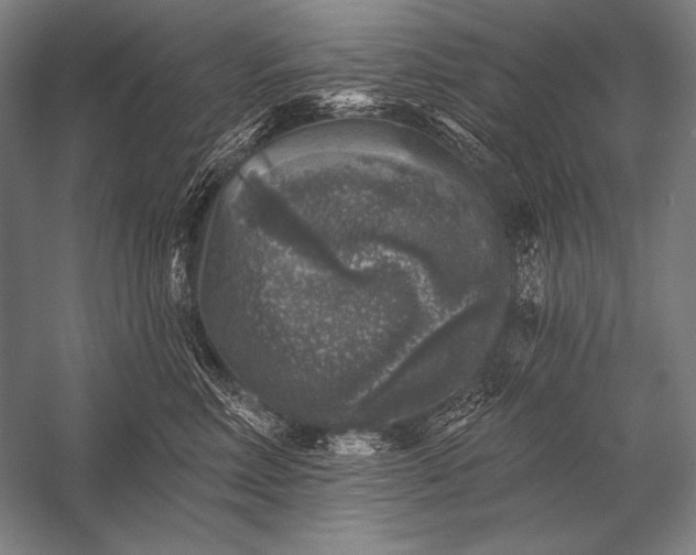 X0000053100618200507251632