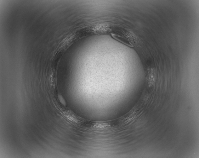 X0000053100619200507251632