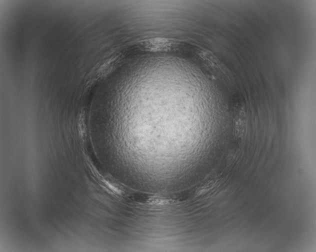 X0000053100620200507251632