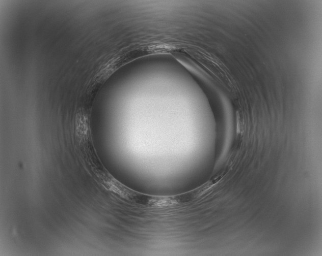 X0000053100621200507251632