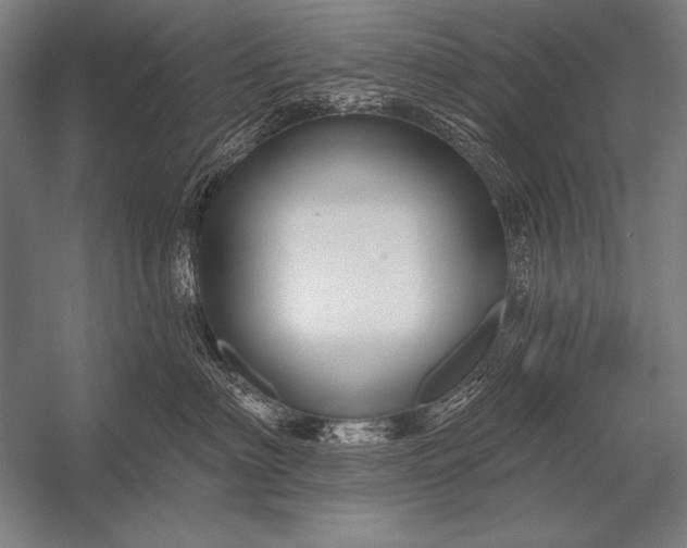 X0000053100622200507251632