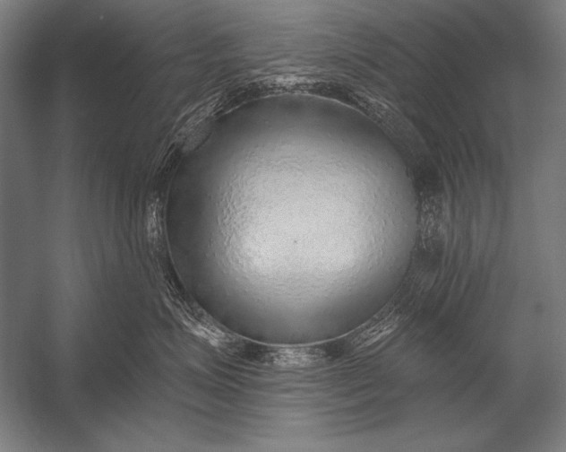 X0000053100623200507251632