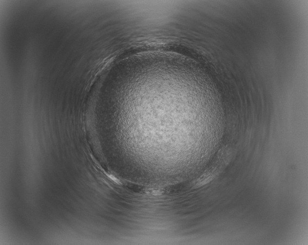 X0000053100624200507251632