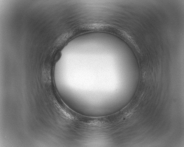 X0000053100633200507251632