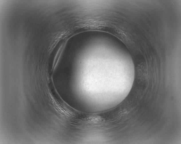 X0000053100642200507251632