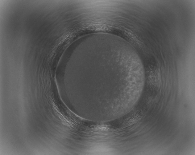 X0000053100643200507251632
