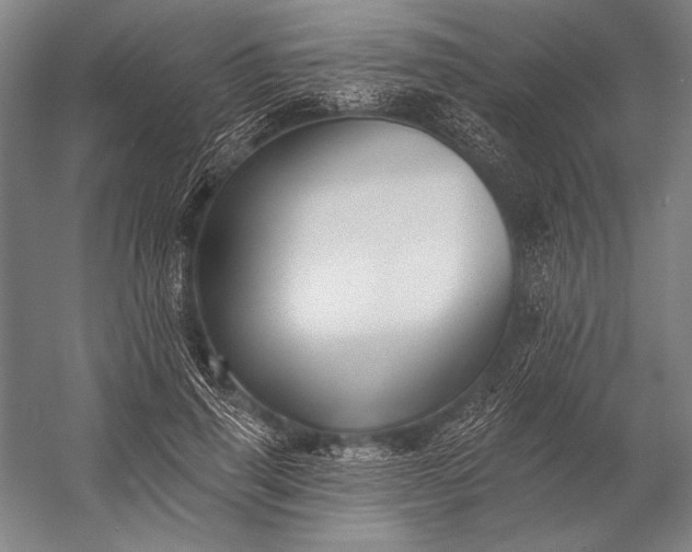 X0000053100645200507251632