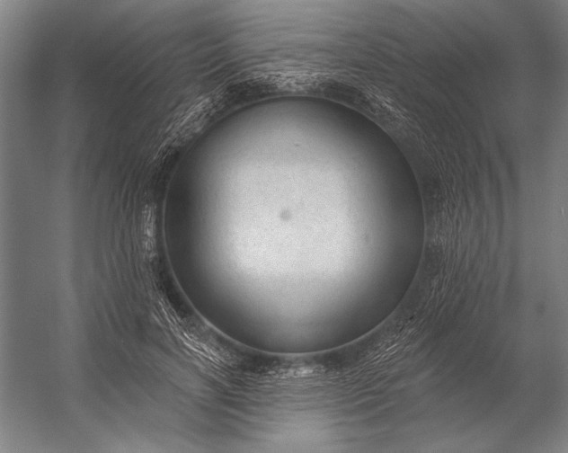 X0000053100646200507251632