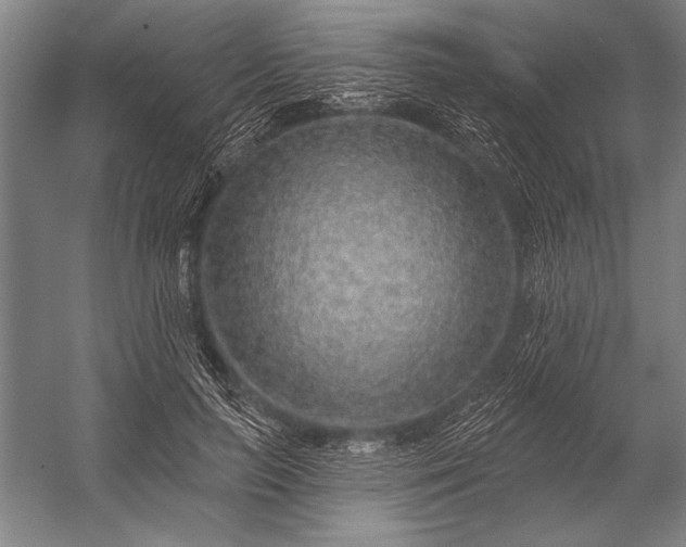 X0000053100647200507251632
