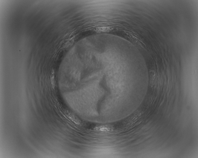 X0000053100655200507251632
