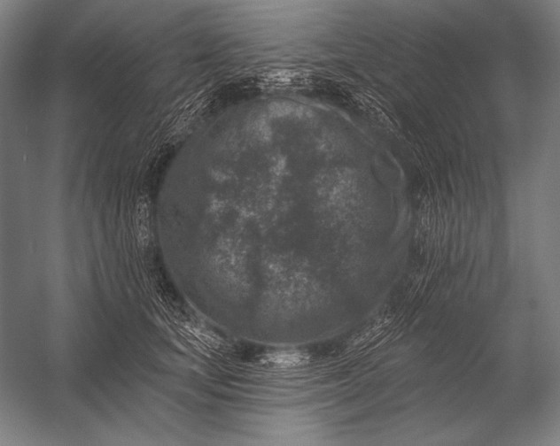 X0000053100659200507251632