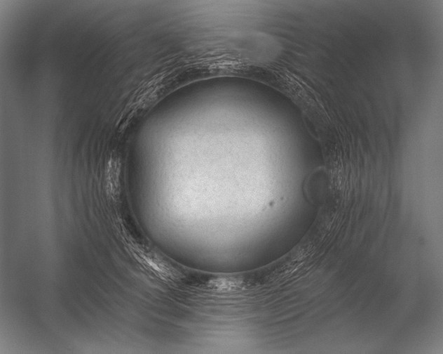 X0000053100660200507251632