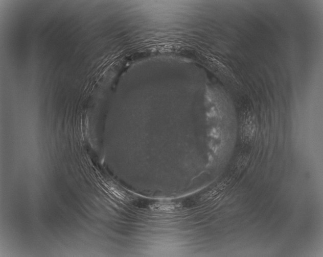X0000053100661200507251632