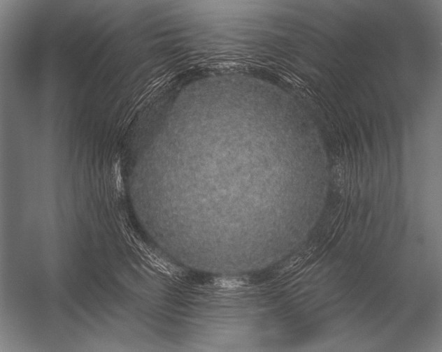 X0000053100662200507251632
