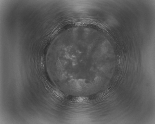 X0000053100663200507251632