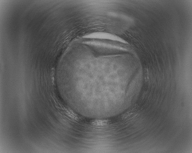 X0000053100664200507251632