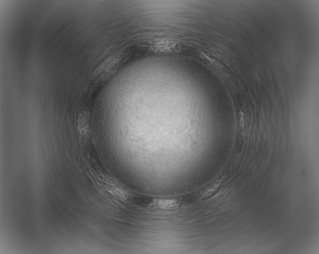 X0000053100665200507251632