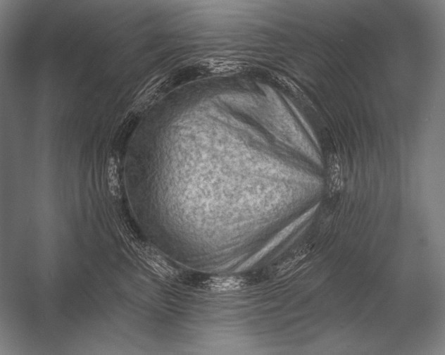 X0000053100667200507251632