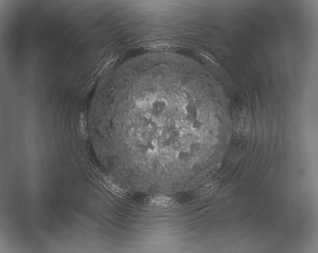 X0000053100669200507251632