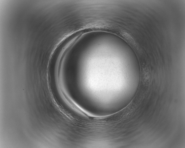 X0000053100680200507251631