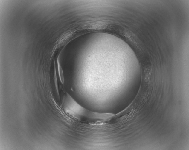 X0000053100685200507251631