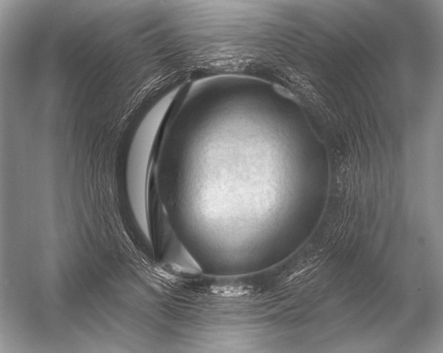 X0000053100693200507251631