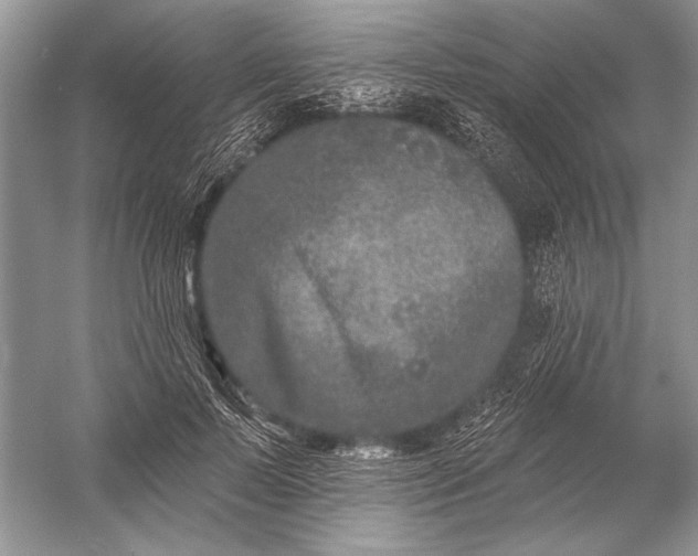 X0000053100695200507251631