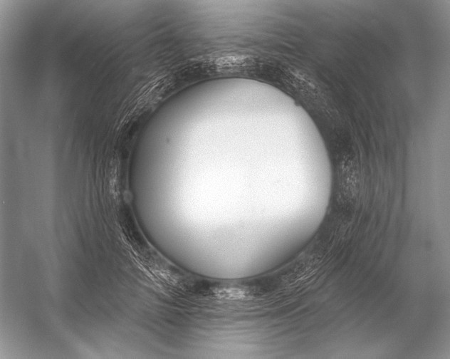 X0000053100698200507251631
