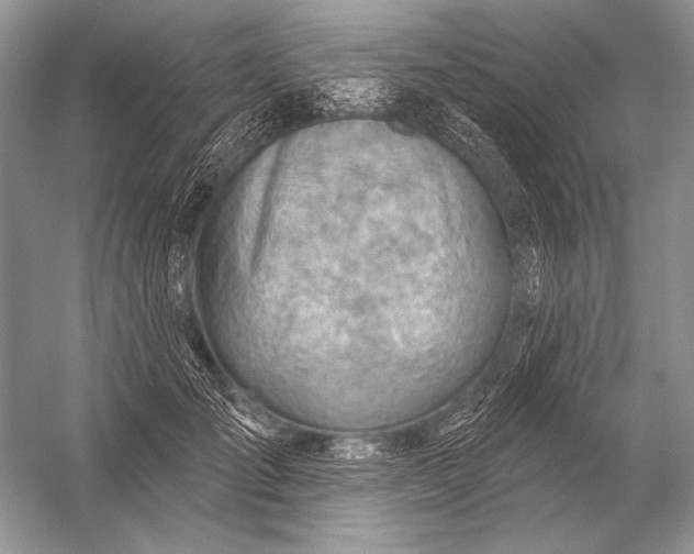 X0000053100701200507251631