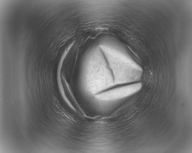 X0000053100704200507251631