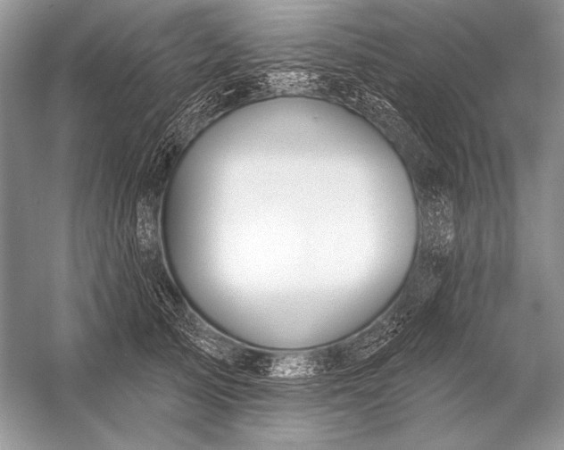 X0000053100705200507251631