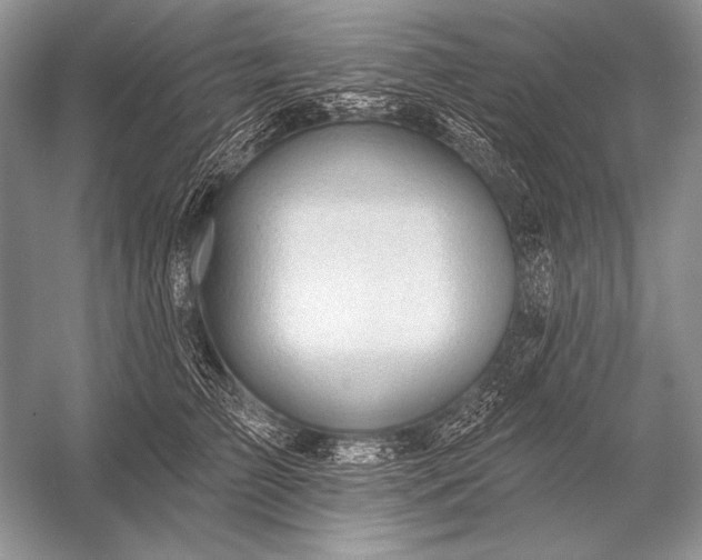 X0000053100709200507251631