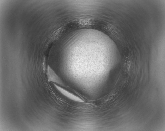 X0000053100710200507251631