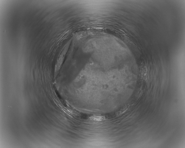 X0000053100711200507251631
